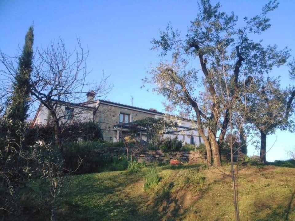 Agriturismo Menghino Nievole Exterior photo